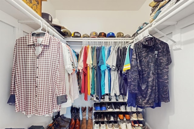 view of spacious closet