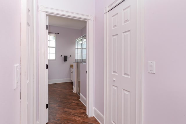 hallway featuring dark hardwood / wood-style flooring