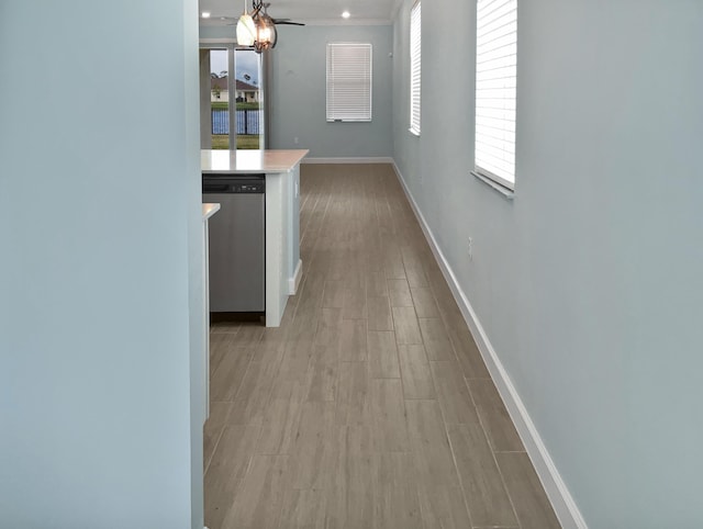 hall with light wood-type flooring and a wealth of natural light