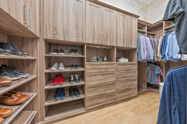 spacious closet with light hardwood / wood-style floors