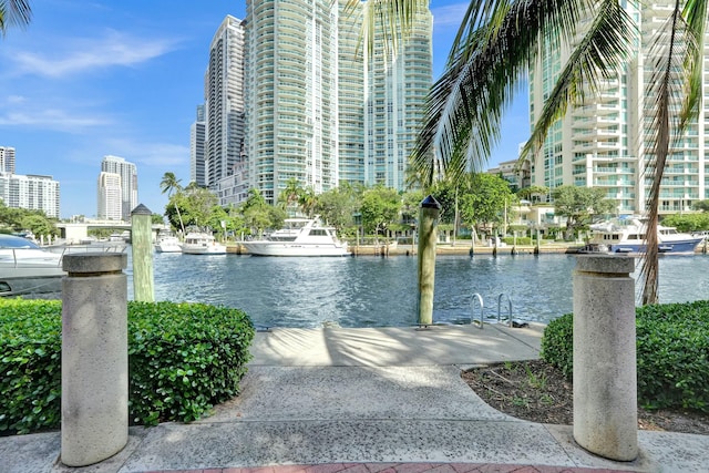 property view of water with a boat dock