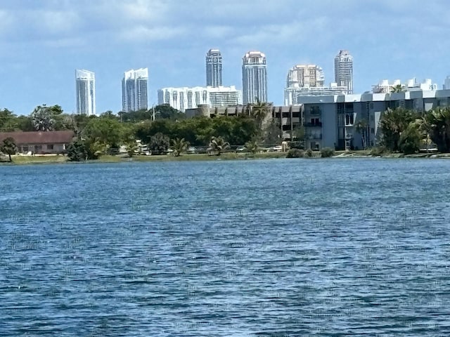 property view of water