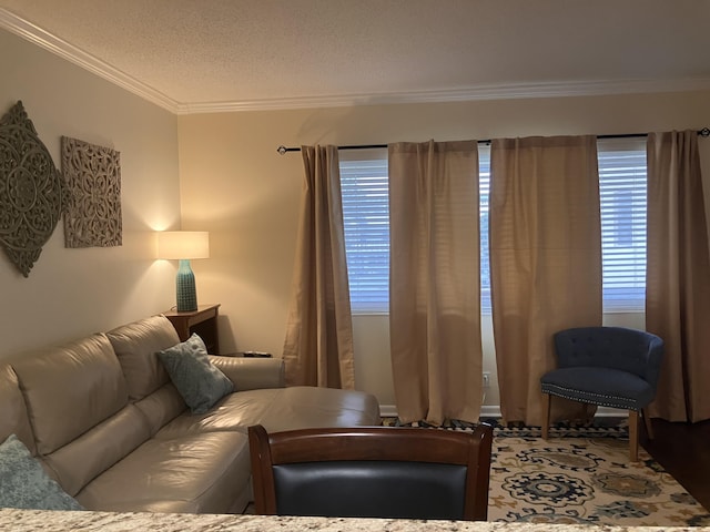 living room featuring a textured ceiling and ornamental molding