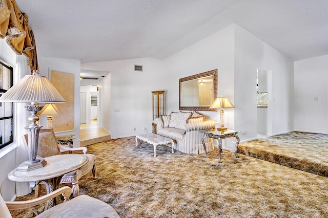 carpeted living room with lofted ceiling