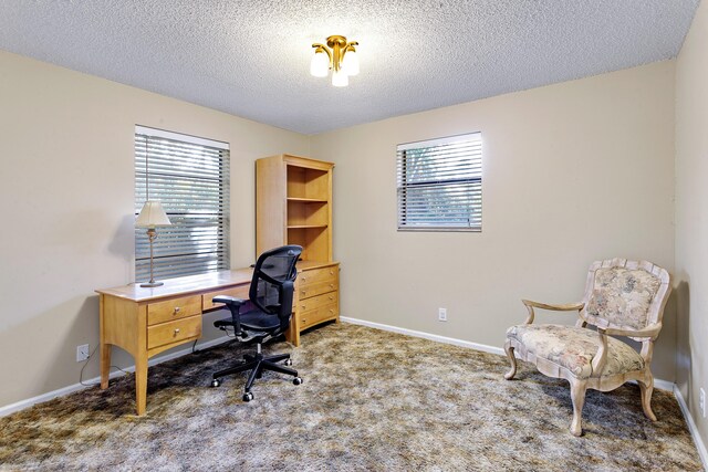 carpeted office with a textured ceiling