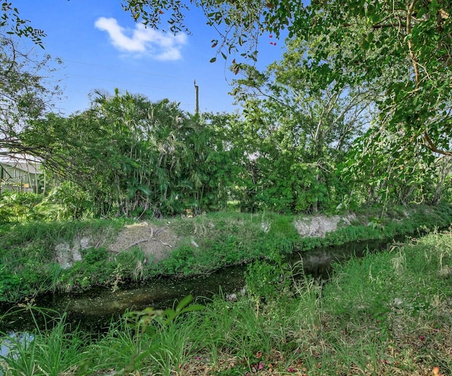 view of local wilderness