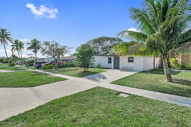 ranch-style house featuring a front yard