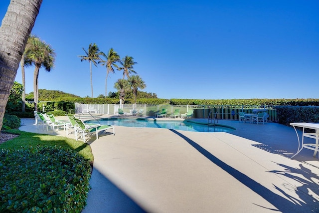 view of pool with a patio area