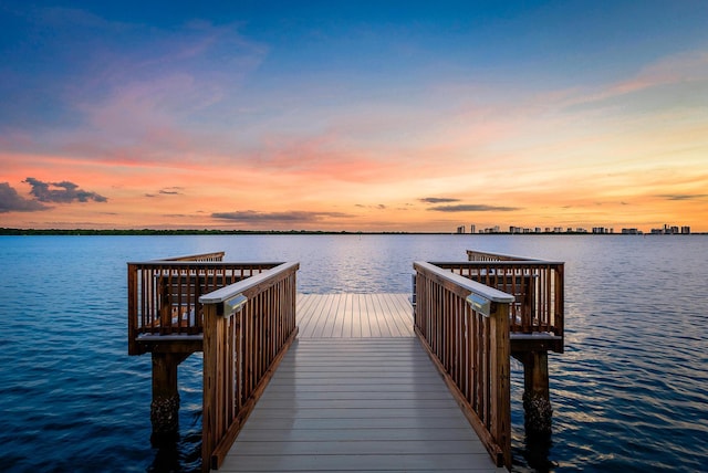 dock area with a water view