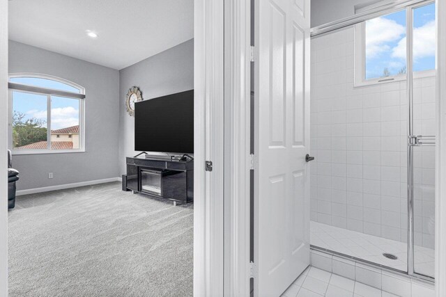 11158 Mainsail Ct, Wellington, FL 33449 - bathroom with a shower stall, baseboards, and recessed lighting