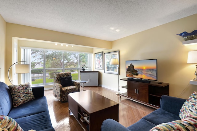 living room featuring a textured ceiling and light hardwood / wood-style flooring