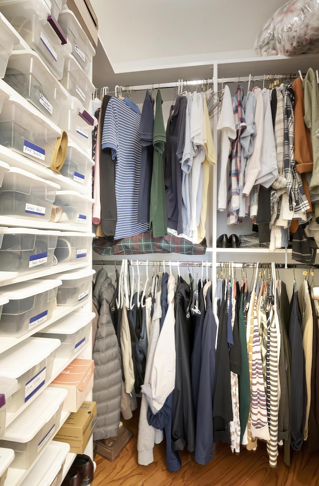 spacious closet with wood-type flooring