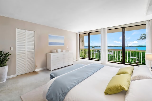 bedroom featuring expansive windows, access to exterior, a water view, and a closet