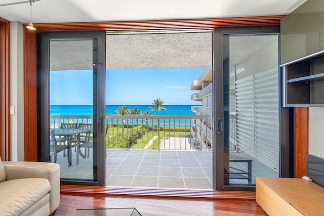 doorway to outside with plenty of natural light, a water view, and wood-type flooring