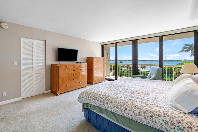 bedroom featuring expansive windows, light carpet, access to outside, and a closet