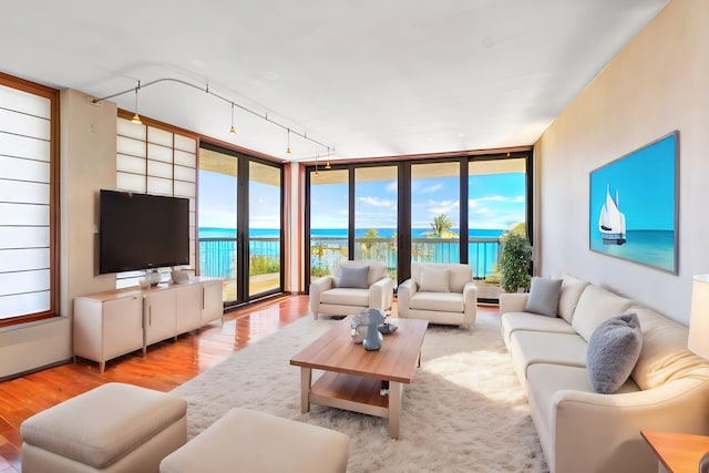 living room with expansive windows, rail lighting, and light hardwood / wood-style flooring