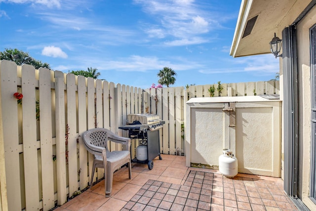 view of patio / terrace with a storage unit and grilling area