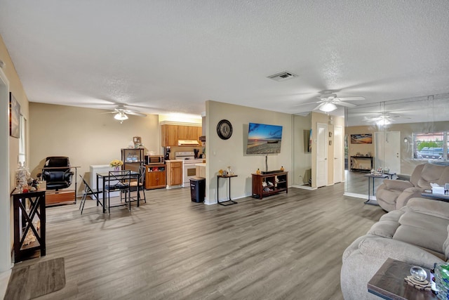 living room featuring hardwood / wood-style floors and a textured ceiling