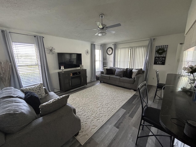 living room featuring ceiling fan, hardwood / wood-style floors, and a textured ceiling