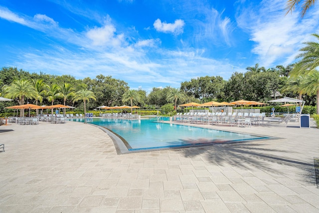 view of swimming pool with a patio