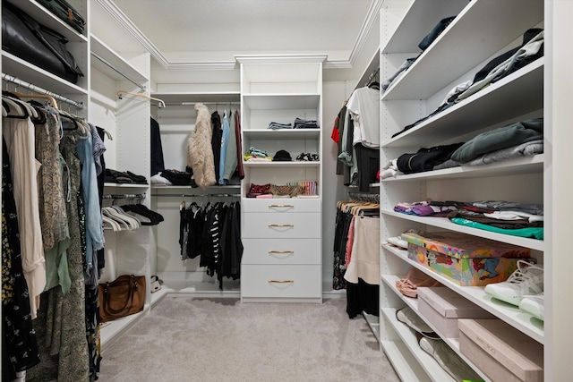 spacious closet featuring light colored carpet