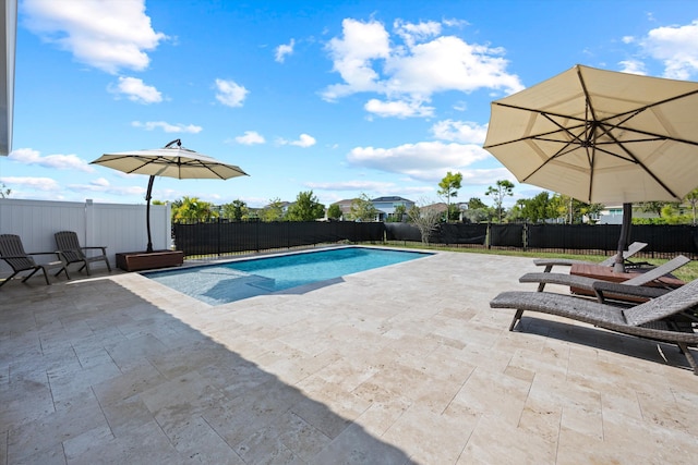 view of swimming pool with a patio area