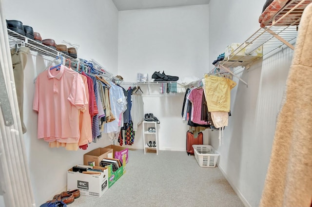 spacious closet featuring carpet