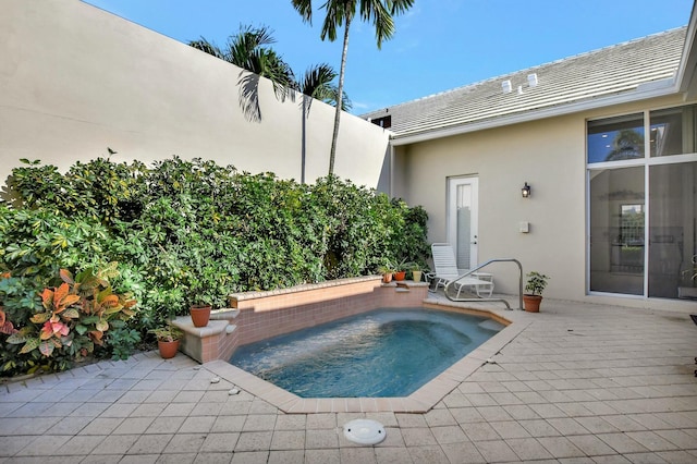 view of swimming pool featuring a jacuzzi and a patio