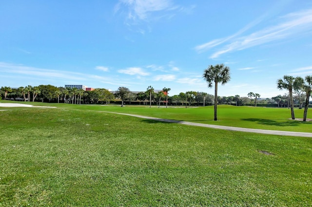 view of community with a yard