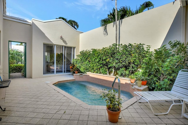 view of swimming pool with a patio