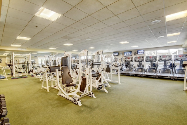 gym with a drop ceiling and carpet floors