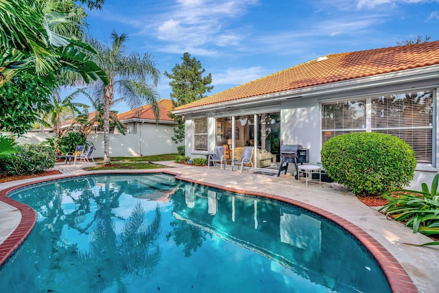 view of pool featuring a patio