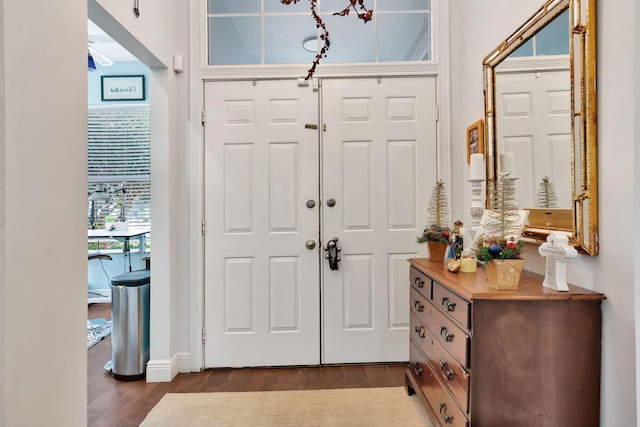 foyer entrance featuring dark hardwood / wood-style flooring