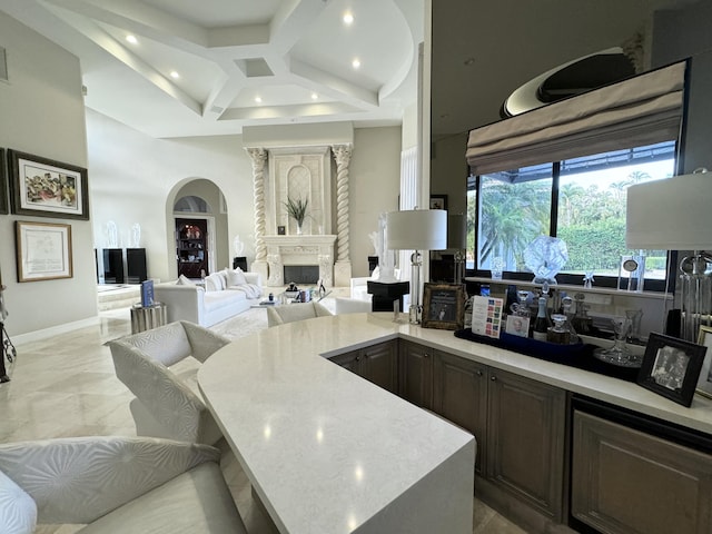 kitchen featuring a large fireplace and dark brown cabinets