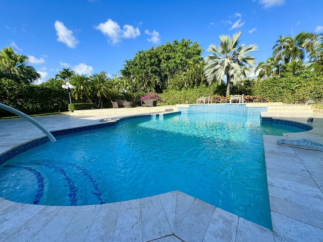 view of pool with a patio area