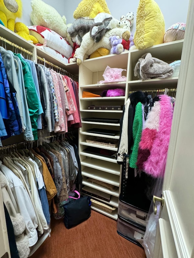 spacious closet with carpet flooring