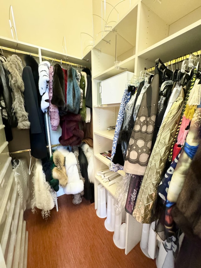 spacious closet featuring hardwood / wood-style floors