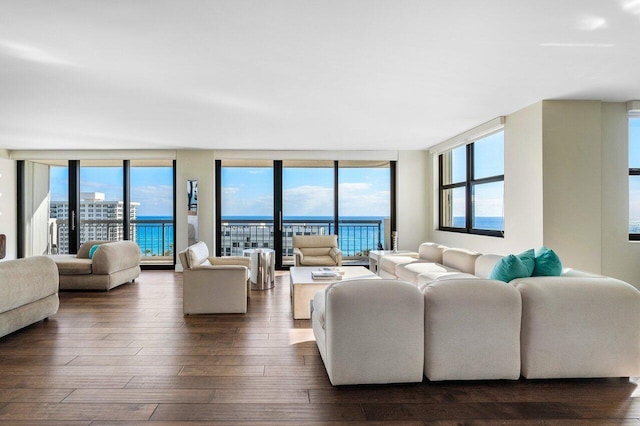 living room featuring plenty of natural light, a water view, and dark hardwood / wood-style floors