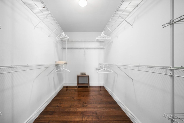 walk in closet with dark hardwood / wood-style flooring