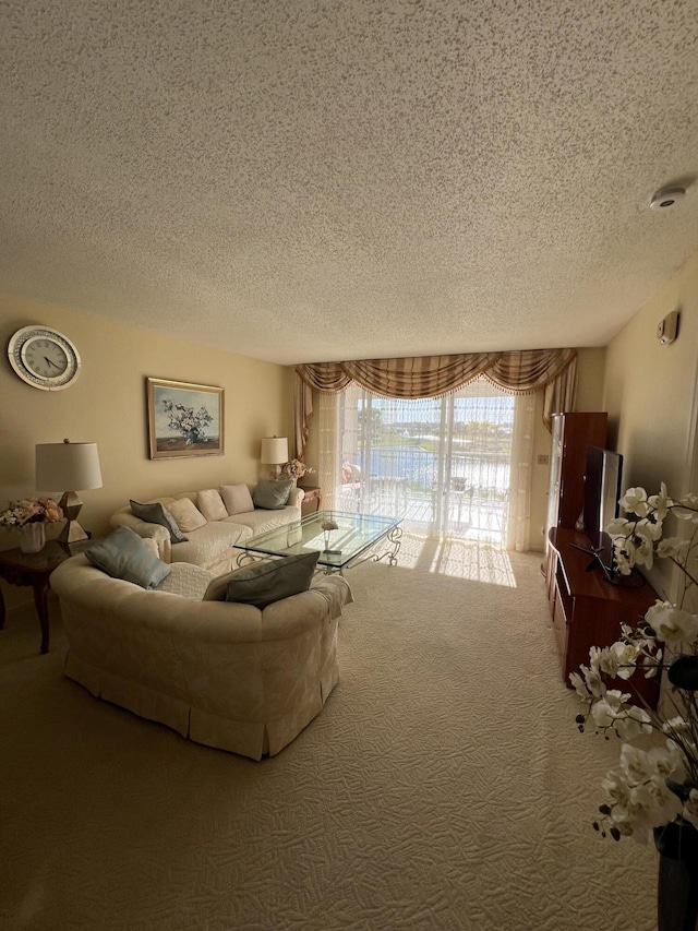 living room with a textured ceiling and carpet flooring