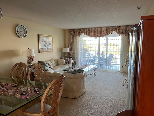 carpeted living room with a textured ceiling