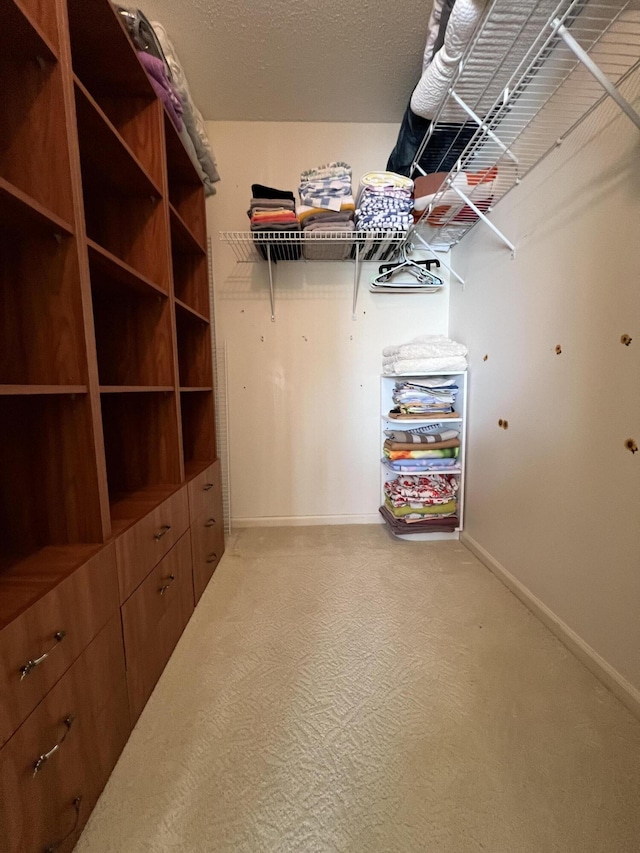 walk in closet with carpet flooring