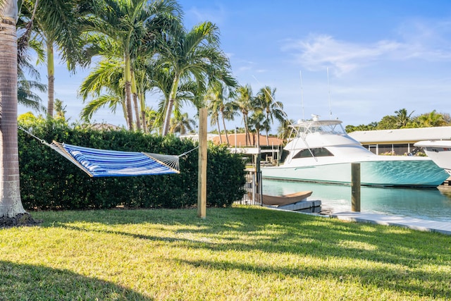 dock area with a lawn