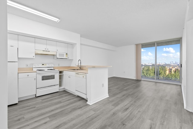 kitchen featuring floor to ceiling windows, white appliances, sink, light wood-type flooring, and white cabinetry