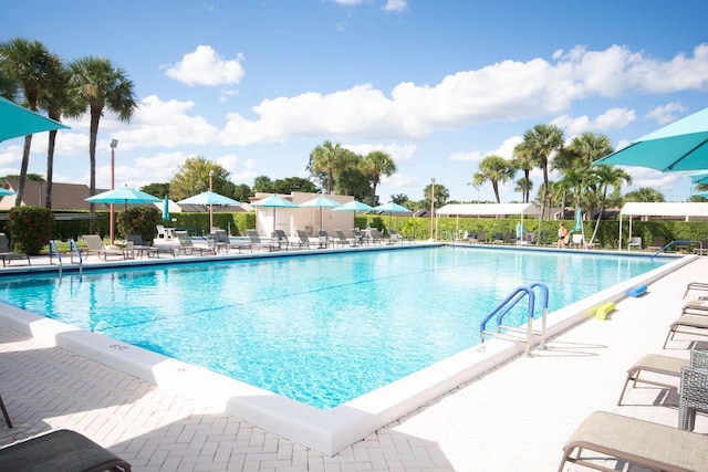 view of swimming pool with a patio area