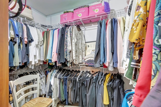 view of spacious closet