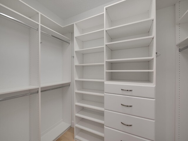 spacious closet with light hardwood / wood-style flooring