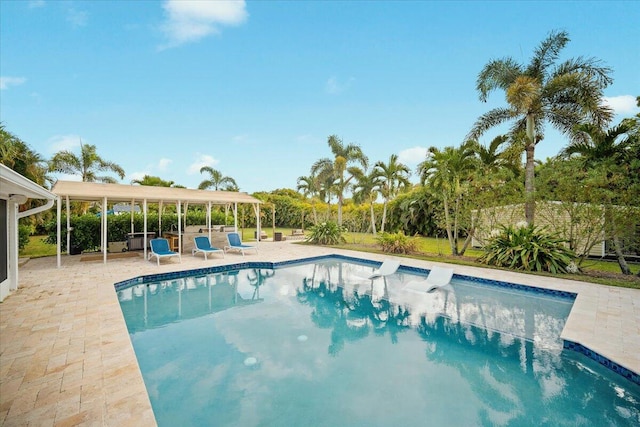 view of pool with a patio area