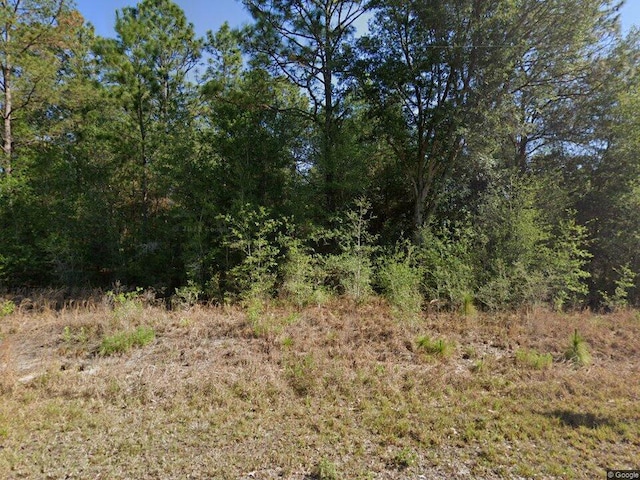 20313 SW Audubon Ave Lot 29, Dunnellon FL, 34431 land for sale