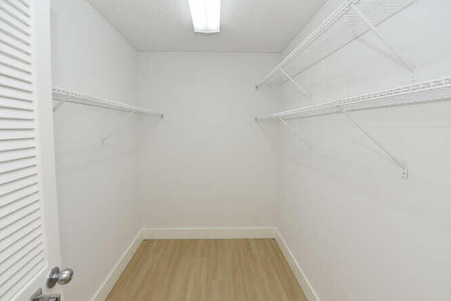 spacious closet featuring wood-type flooring